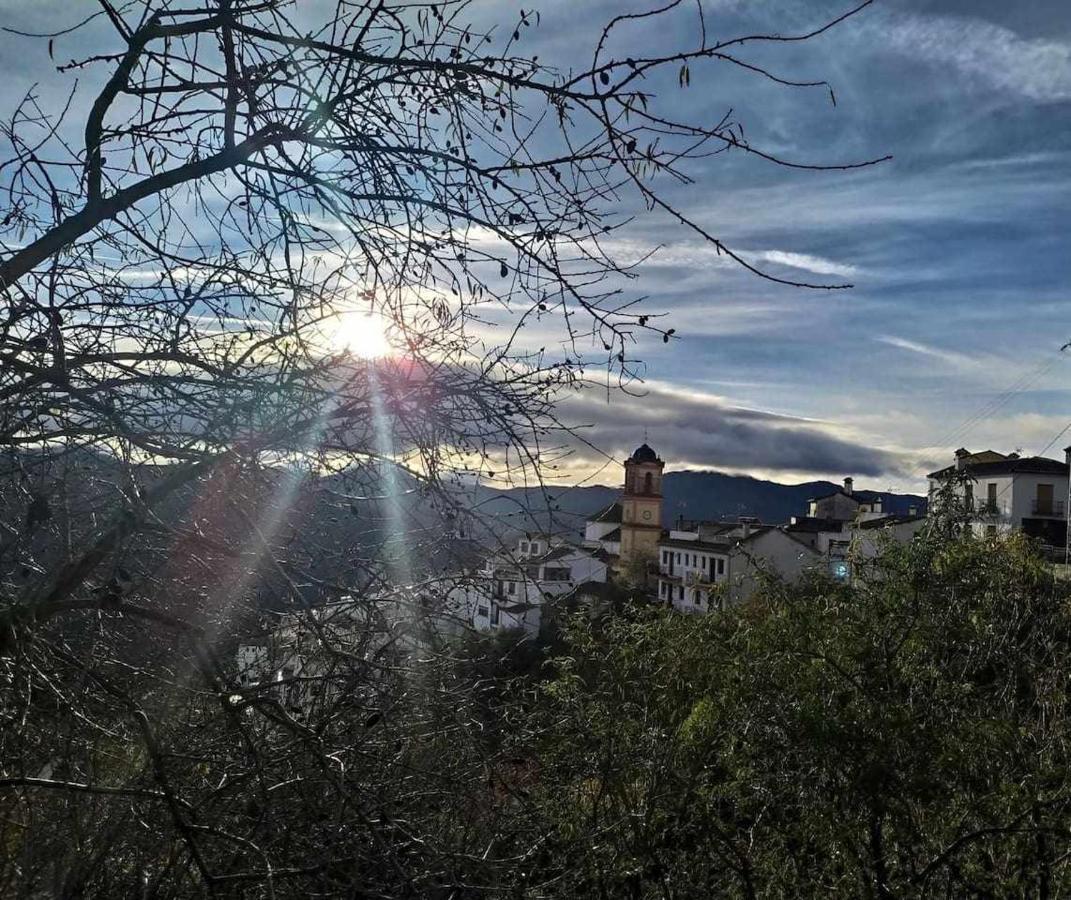 Casa El Chaparral Songbird Mountain Apartment Benadalid Luaran gambar