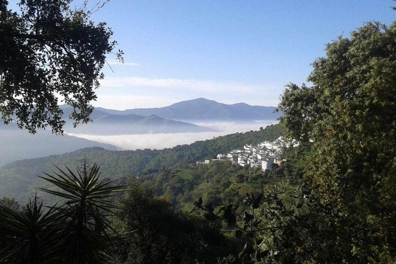 Casa El Chaparral Songbird Mountain Apartment Benadalid Luaran gambar