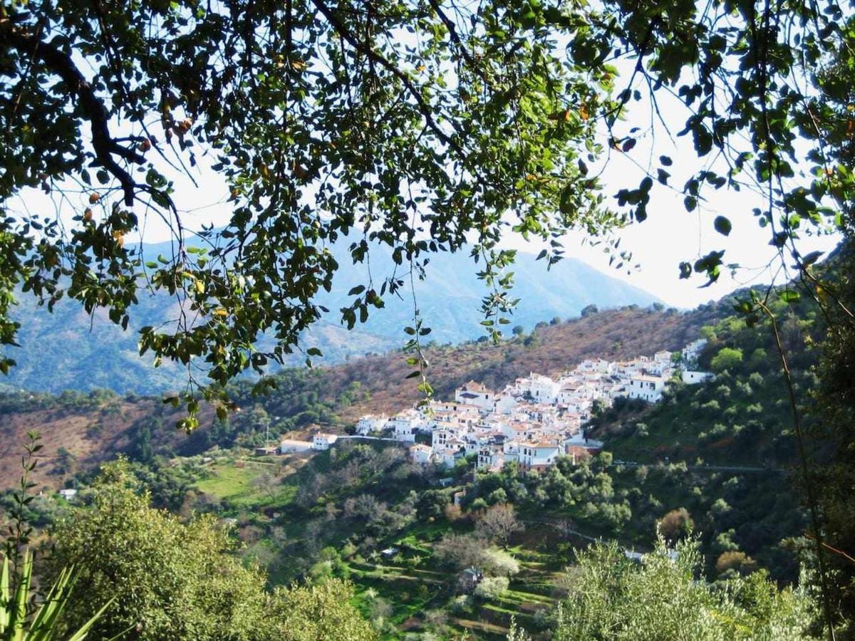 Casa El Chaparral Songbird Mountain Apartment Benadalid Luaran gambar