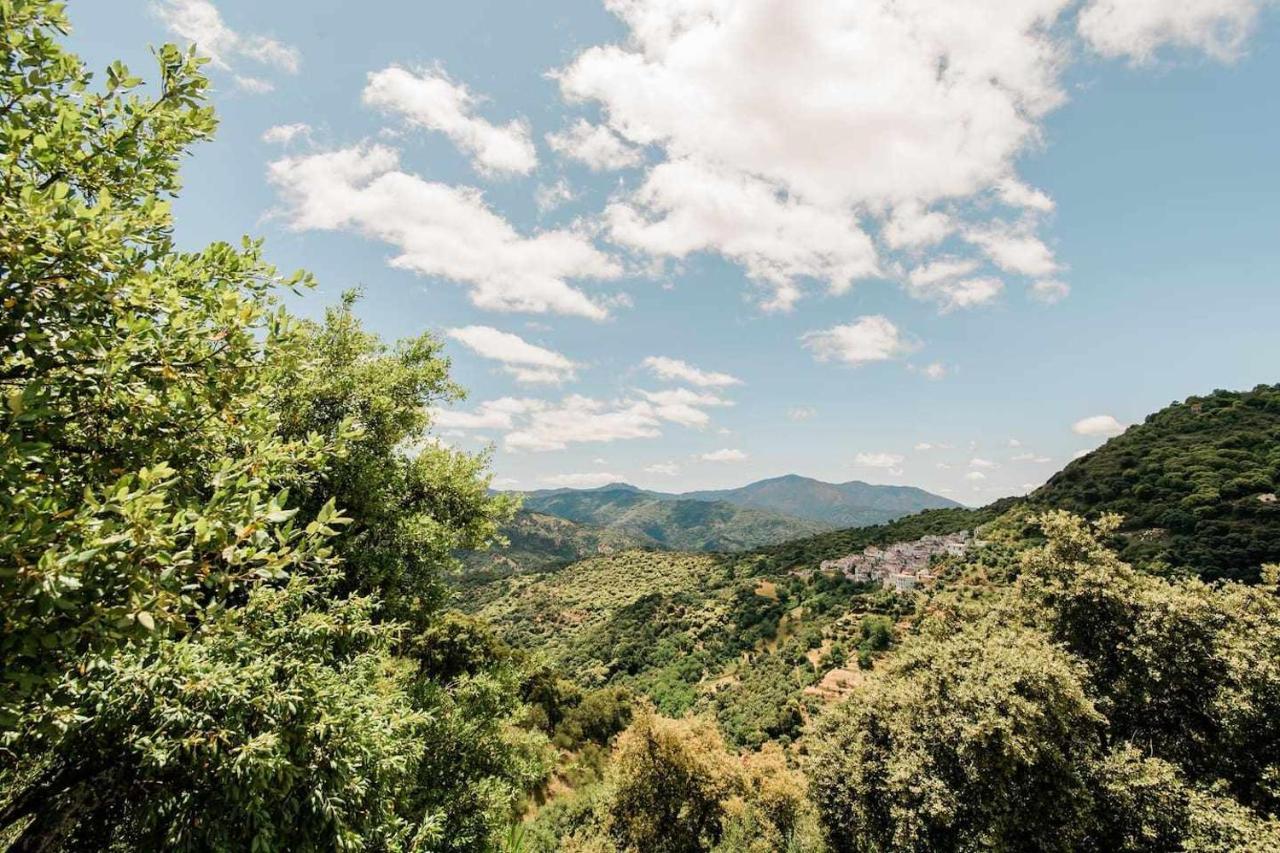 Casa El Chaparral Songbird Mountain Apartment Benadalid Luaran gambar