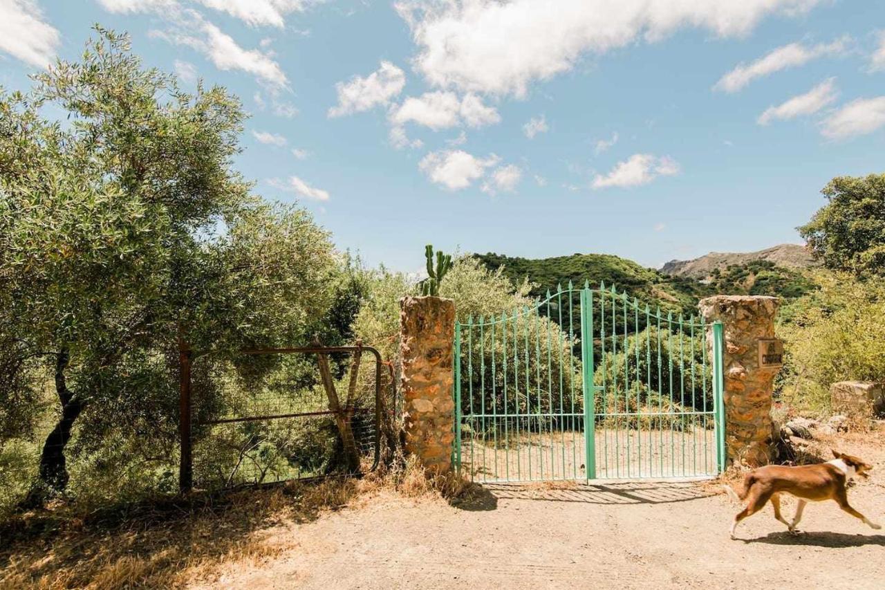 Casa El Chaparral Songbird Mountain Apartment Benadalid Luaran gambar